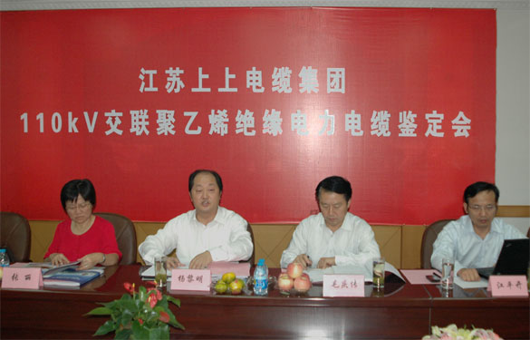 大宝娱乐额定电压110kV交联聚乙烯绝缘电力电缆产品通过判断