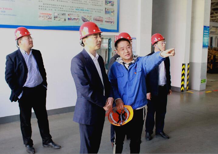 2018年4月9日，，，，，，，，宣都会委常委、常务副市长汪谦慎来大宝娱乐电缆旅行考察