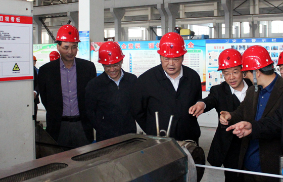 省政协副主席周继业一行来大宝娱乐电缆调研