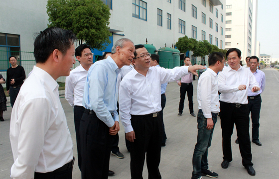 常州市市长丁纯来大宝娱乐电缆督查新能源项目建设