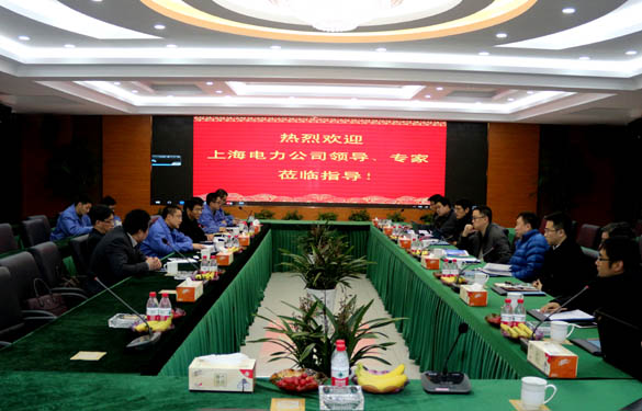上海电力公司、上缆所向导、专家一行来大宝娱乐电缆交流考察