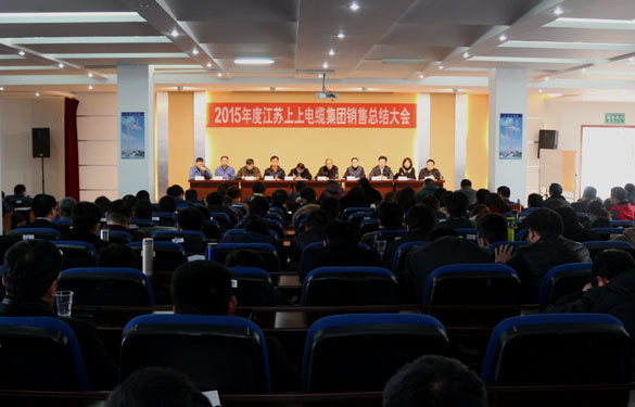 大宝娱乐召开2015年度销售总结大会