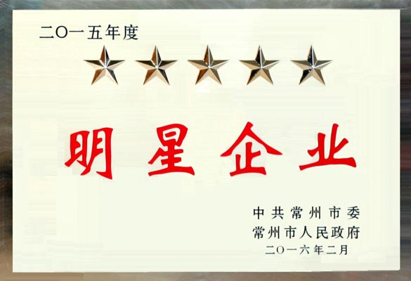 大宝娱乐电缆在常州市“重大项目推进年”发动大会上再次载誉而归