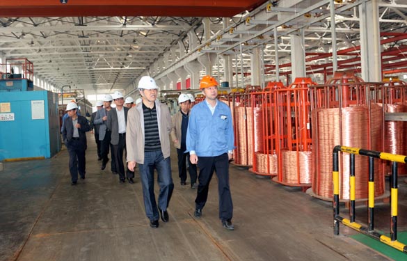 2015年11月3日，，，，，，新泰市党政代表团来大宝娱乐电缆考察