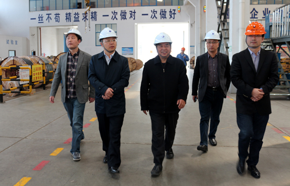 2015年3月26日，，，江苏省射阳县向导一行来大宝娱乐电缆视察