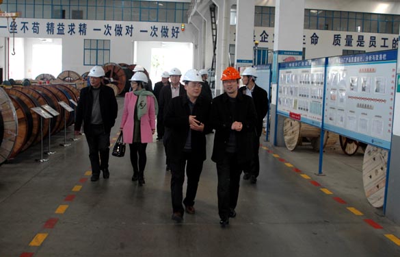 2015年3月13日，，，金坛市经信局向导一行来大宝娱乐电缆考察