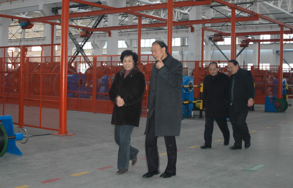 江苏省经信委副主任顾瑜芳一行来大宝娱乐调研