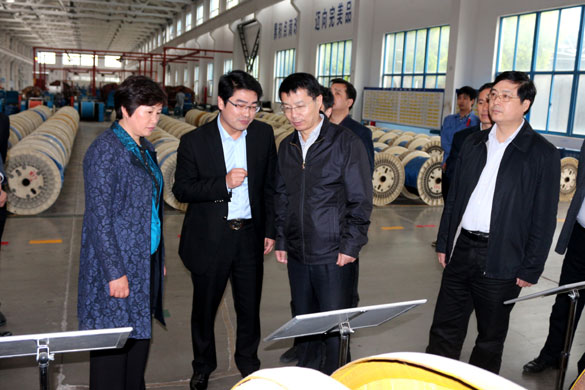 巢湖市委副书记张生一行来大宝娱乐集团旅行考察