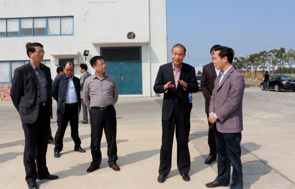 溧阳市代市长蒋锋一行来大宝娱乐集团督查新开工项目