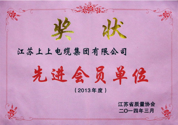 大宝娱乐集团荣获江苏省质量协会2013年度“先进会员单位”称呼