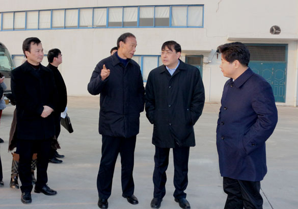 常州市市长费高云一行来大宝娱乐督查新开工项目