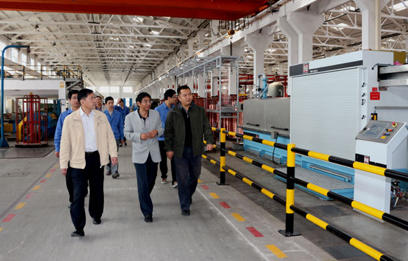 江苏省质量奖评审组专家来大宝娱乐集团现场评审