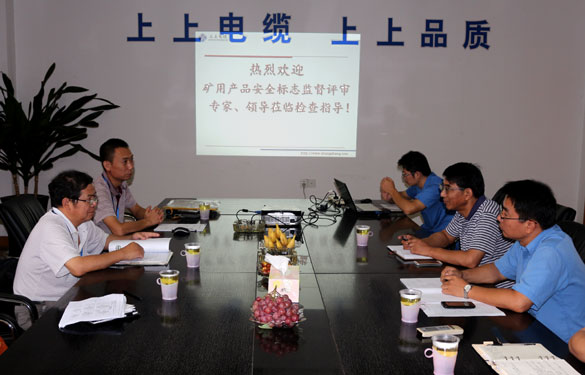 大宝娱乐顺遂通过安标现场监视评审