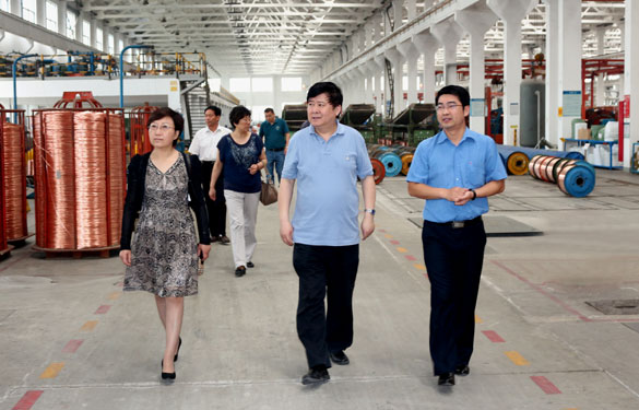 常州市新北区人大向导一行来大宝娱乐集团调研