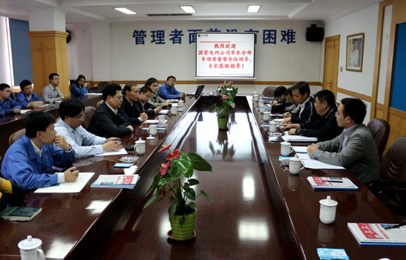 大宝娱乐集团顺遂通过国家电网公司专项质量督导组督查