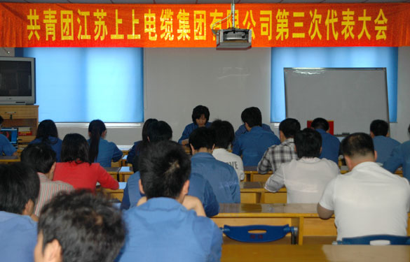 共青团大宝娱乐第三届代表大会暨换届选举大会胜利召开