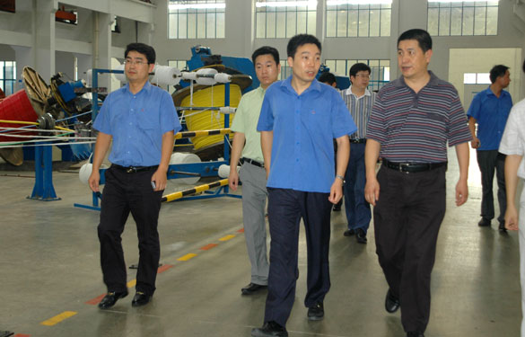 淮南市王市长一行来大宝娱乐旅行考察