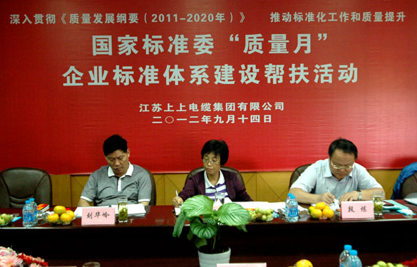 国标委“质量月”专家组到大宝娱乐检查指导事情