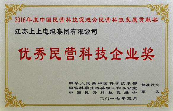 大宝娱乐电缆荣获优异民营科技企业奖