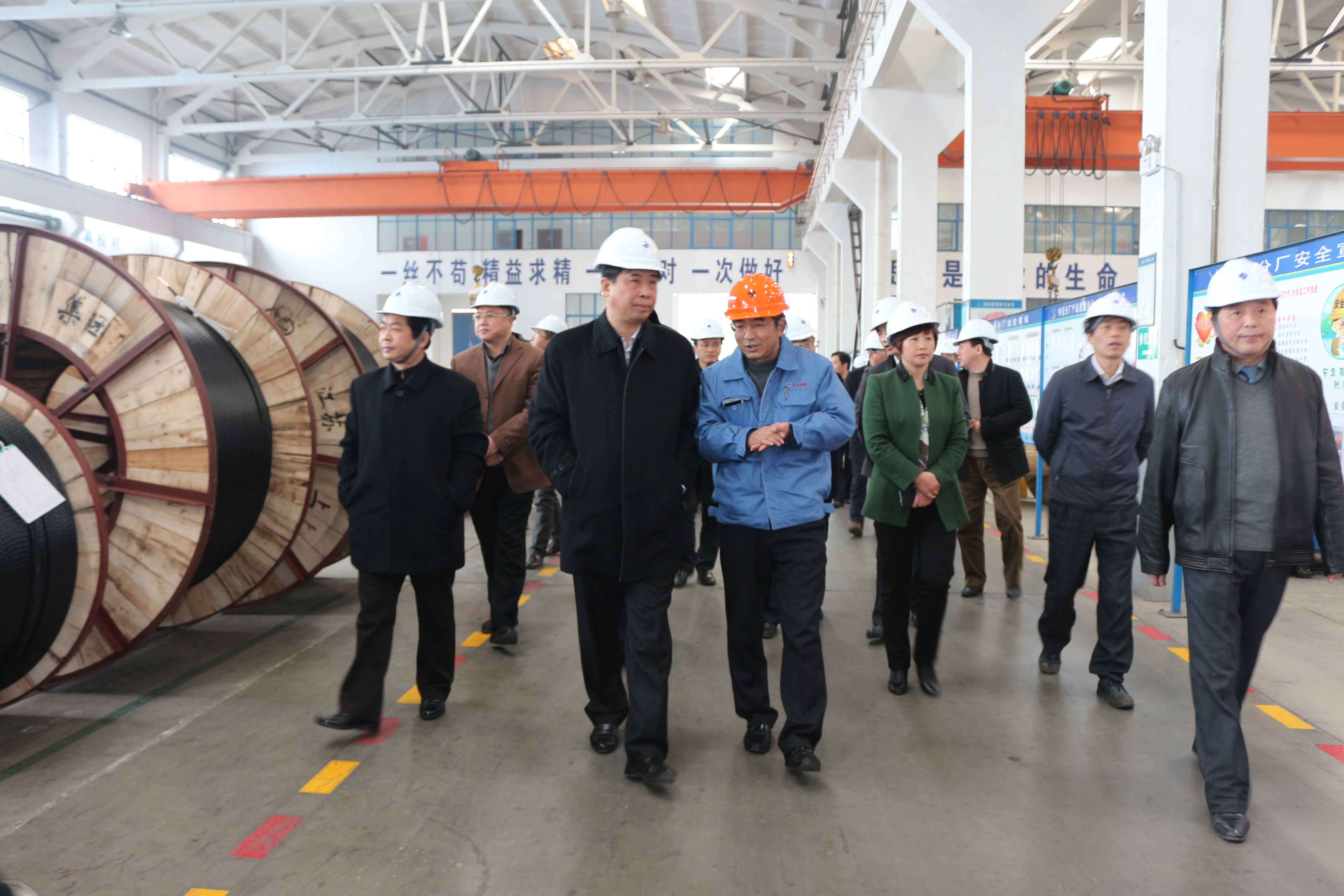 2015年3月11日，，，，，，安徽省和县党政代表团一行来大宝娱乐电缆考察