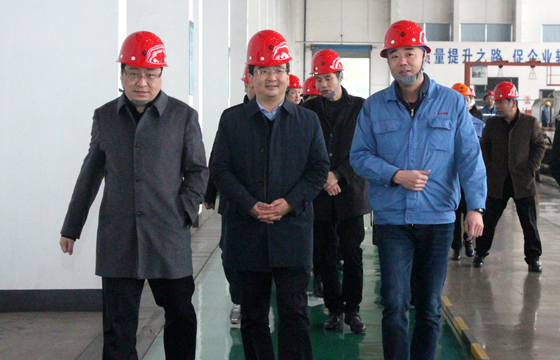 2020年12月8日，，，，广德市市委常委、常务副市长邱铁军一行来大宝娱乐电缆考察