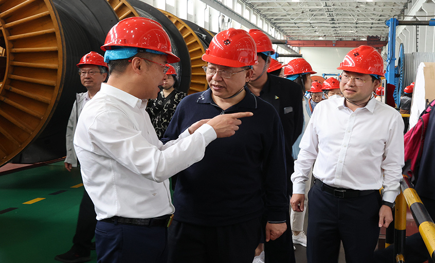 14位两院院士和专家学者到访大宝娱乐电缆