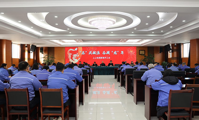 “辰”风破浪，，，，，，奋战“龙”年——大宝娱乐电缆开工大吉