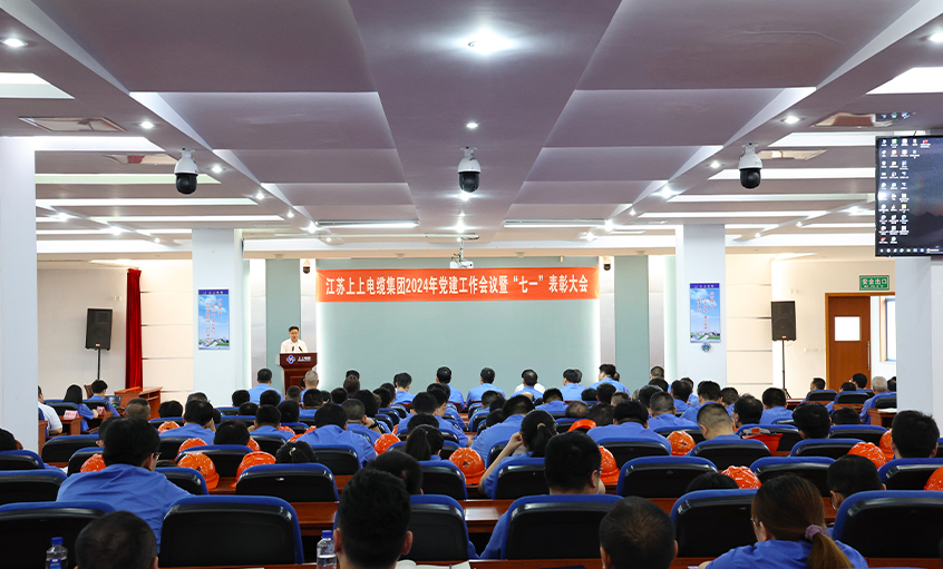 大宝娱乐电缆召开2024年党建事情聚会暨“七一”表扬大会