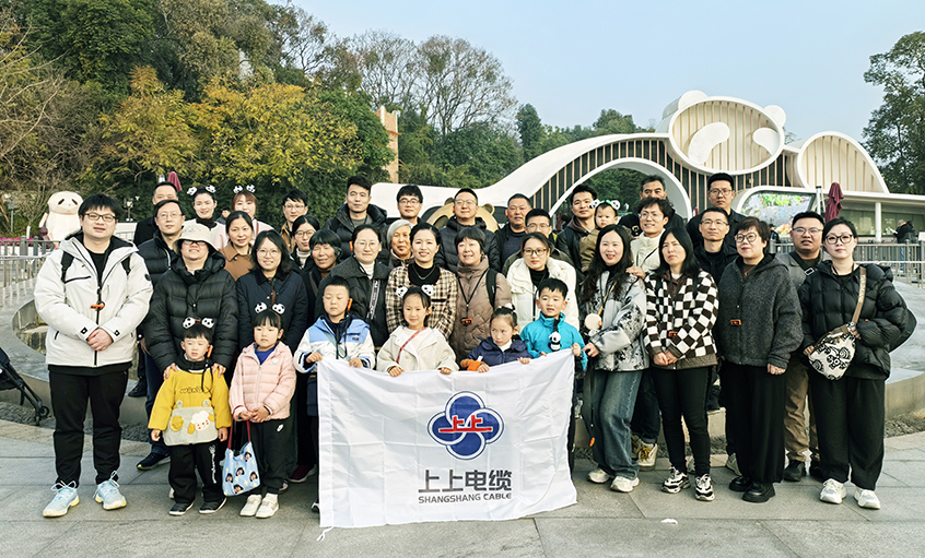 以文化润心 用眷注聚力——大宝娱乐2024年度先进员工蜀韵文化之旅圆满收官