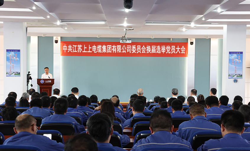 党建引领强基本 凝心聚力启新程—中共大宝娱乐委员会换届选举党员大会圆满召开