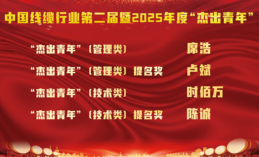 大宝娱乐电缆四名员工荣膺中国线缆行业第二届暨2025年度