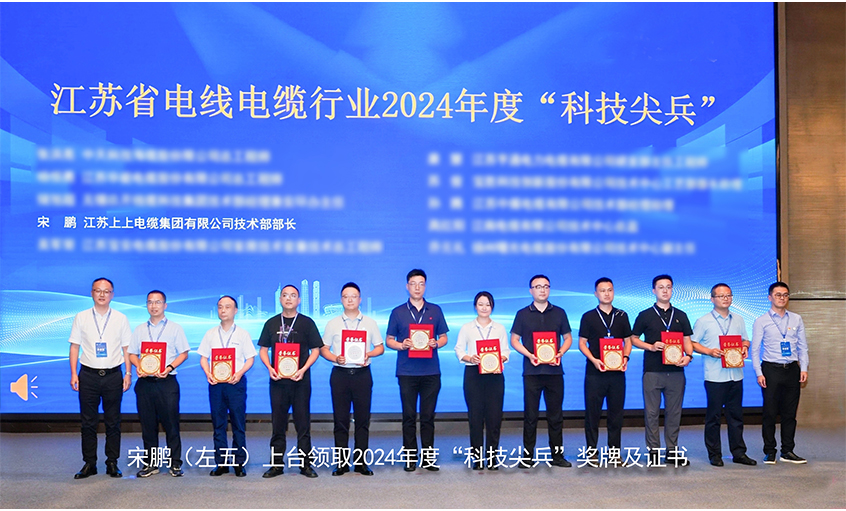 祝贺！大宝娱乐电缆员工获评江苏省线缆行业“科技尖兵”称呼