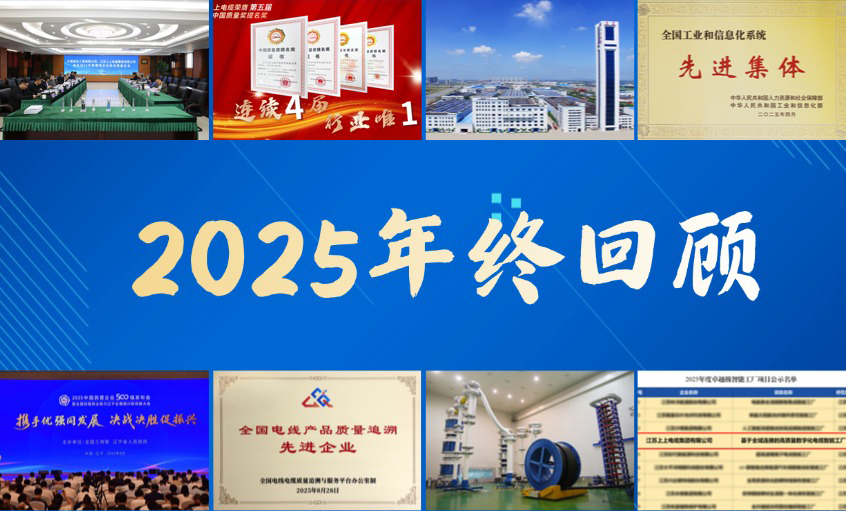 大宝娱乐电缆·2025年度十大新闻
